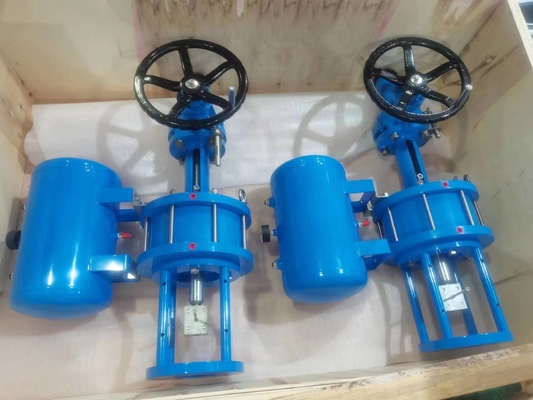 1 Tahun Garansi Pneumatic Linear Actuator Untuk Pinch Valve 0.1KN - 500KN
